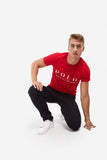 Camiseta POLO Rojo